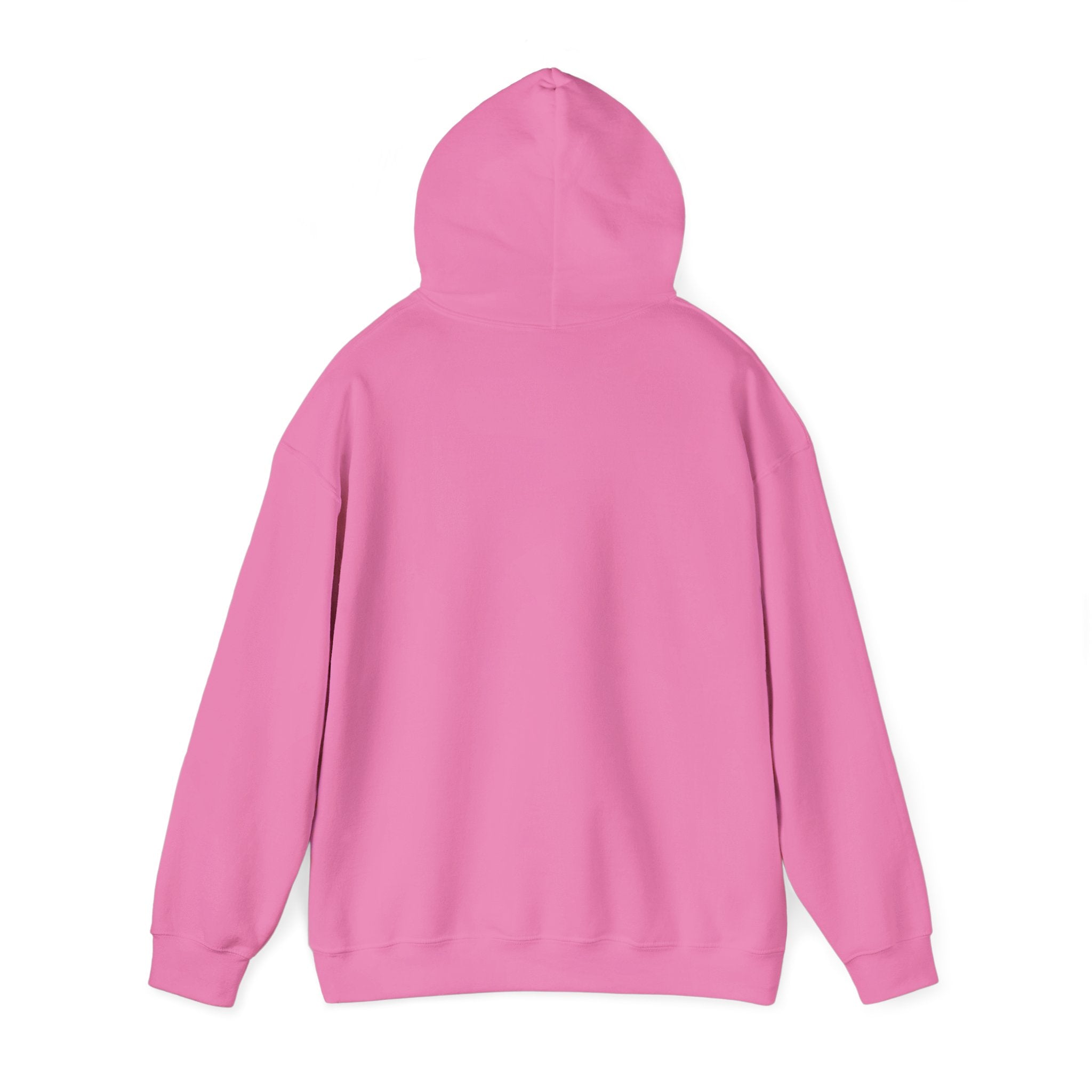 Main character energy - women's oversized hoodie|Aesthetic |Pinterest |coquette|soft girl |that girl