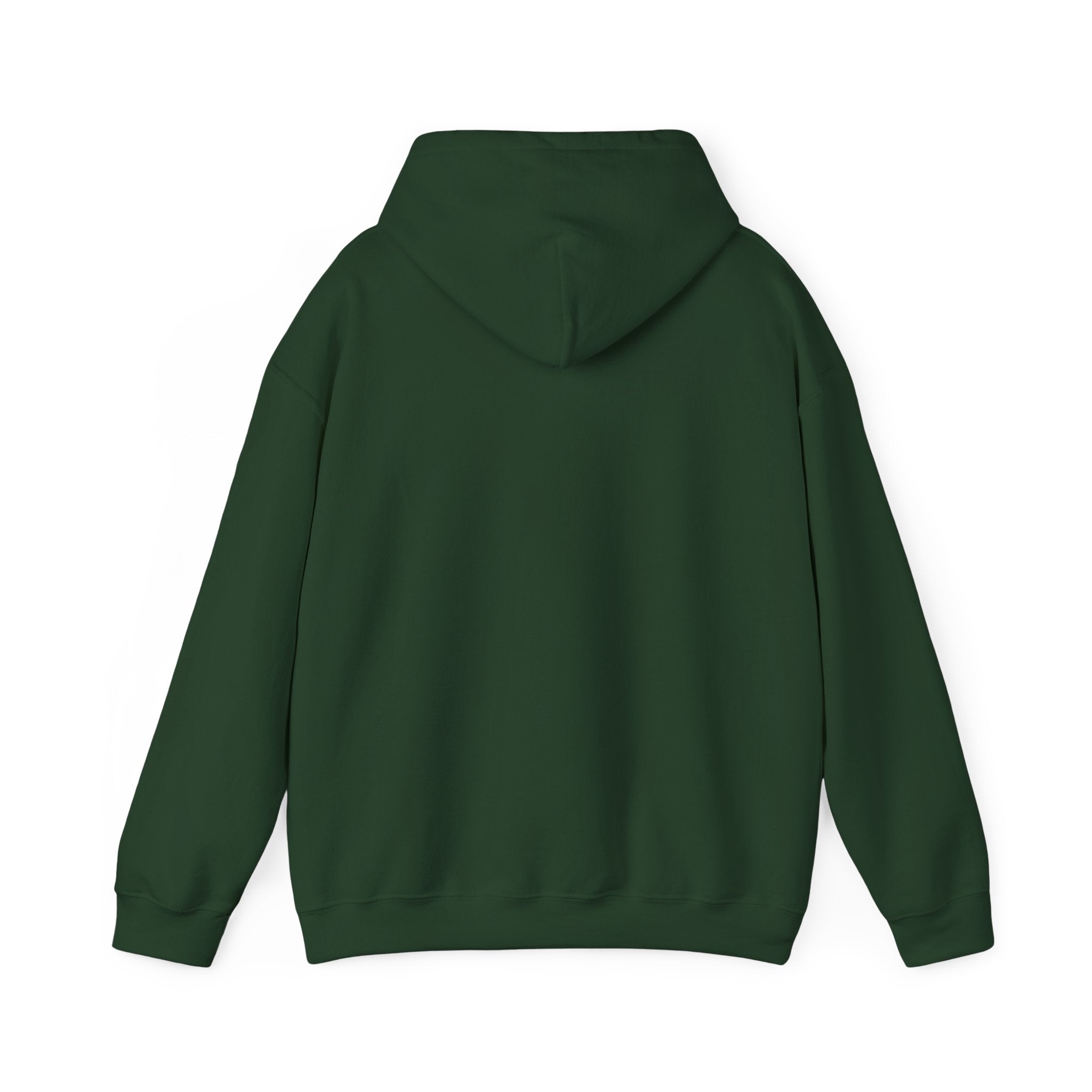 Main character energy - women's oversized hoodie|Aesthetic |Pinterest |coquette|soft girl |that girl