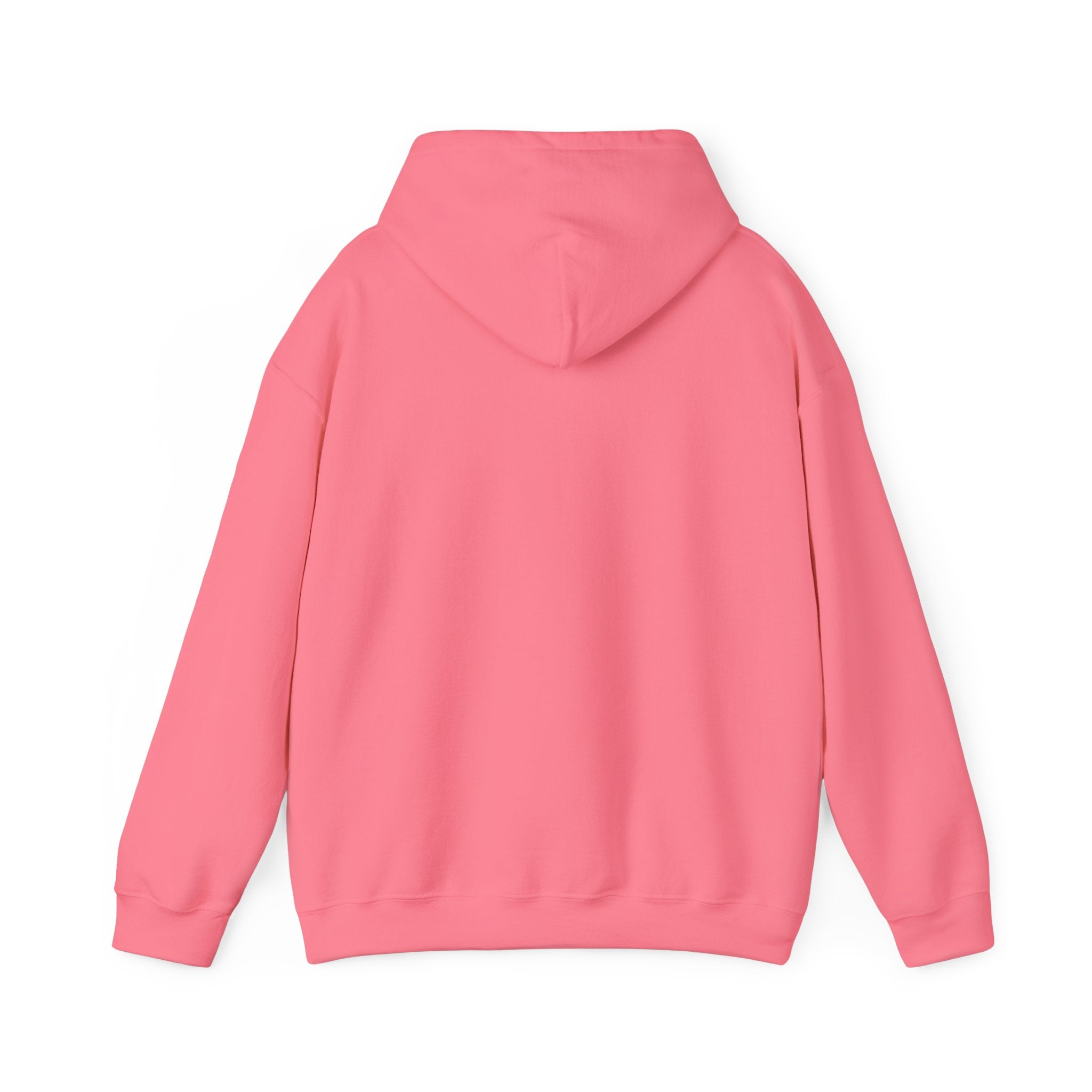 Main character energy - women's oversized hoodie|Aesthetic |Pinterest |coquette|soft girl |that girl