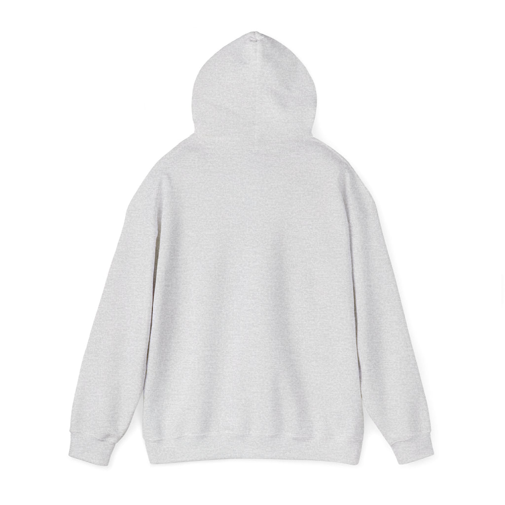 Main character energy - women's oversized hoodie|Aesthetic |Pinterest |coquette|soft girl |that girl