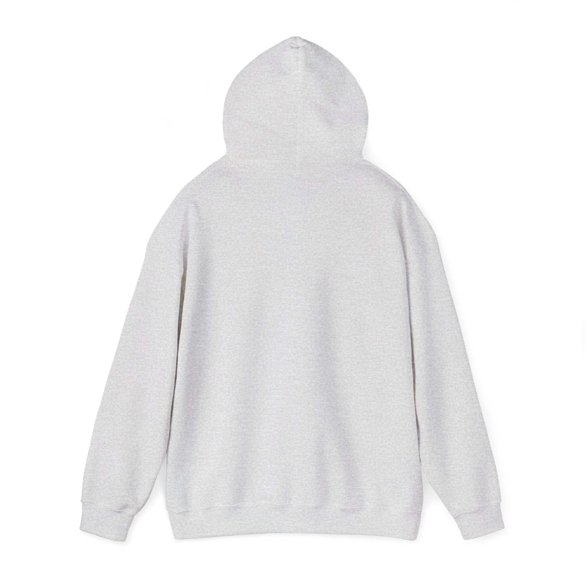 Main character energy - women's oversized hoodie|Aesthetic |Pinterest |coquette|soft girl |that girl