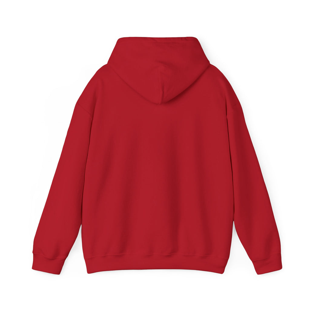 Main character energy - women's oversized hoodie|Aesthetic |Pinterest |coquette|soft girl |that girl