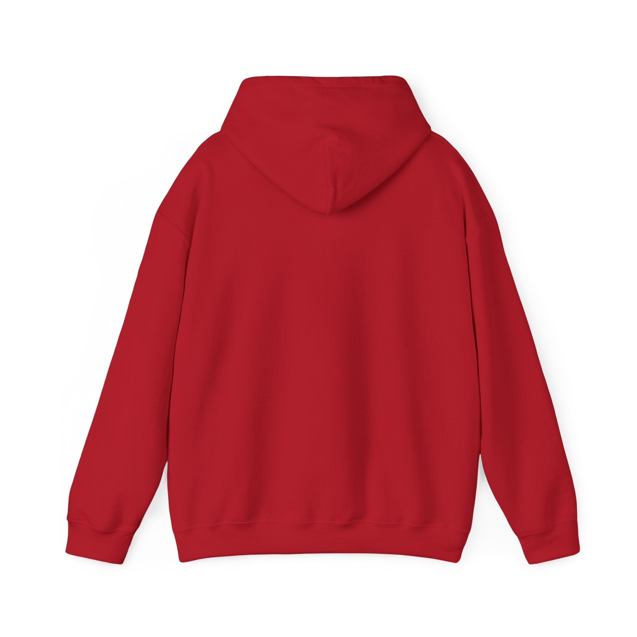 Main character energy - women's oversized hoodie|Aesthetic |Pinterest |coquette|soft girl |that girl
