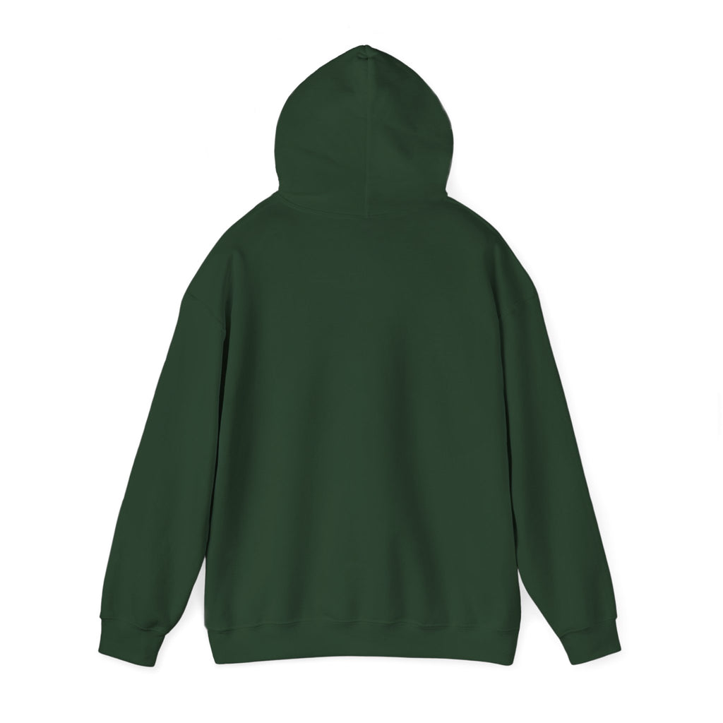 Main character energy - women's oversized hoodie|Aesthetic |Pinterest |coquette|soft girl |that girl