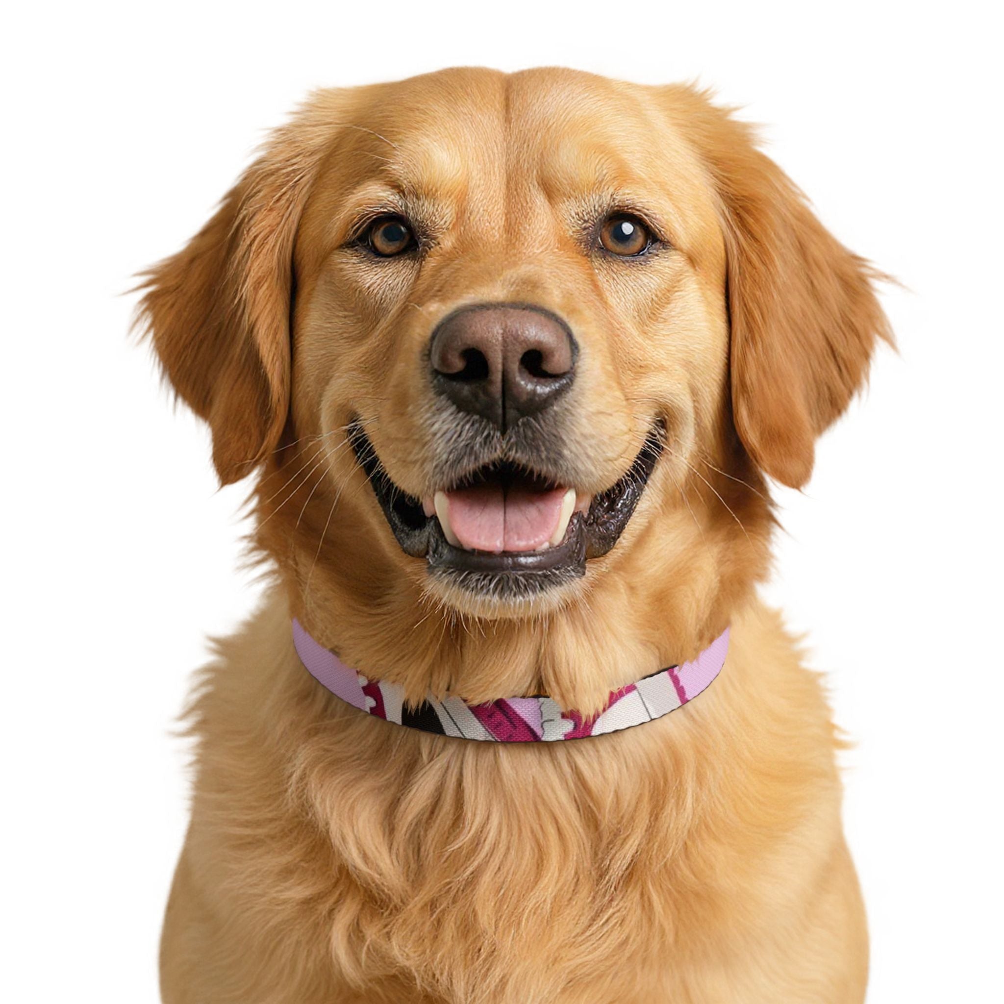 Clip-on Pet Collar