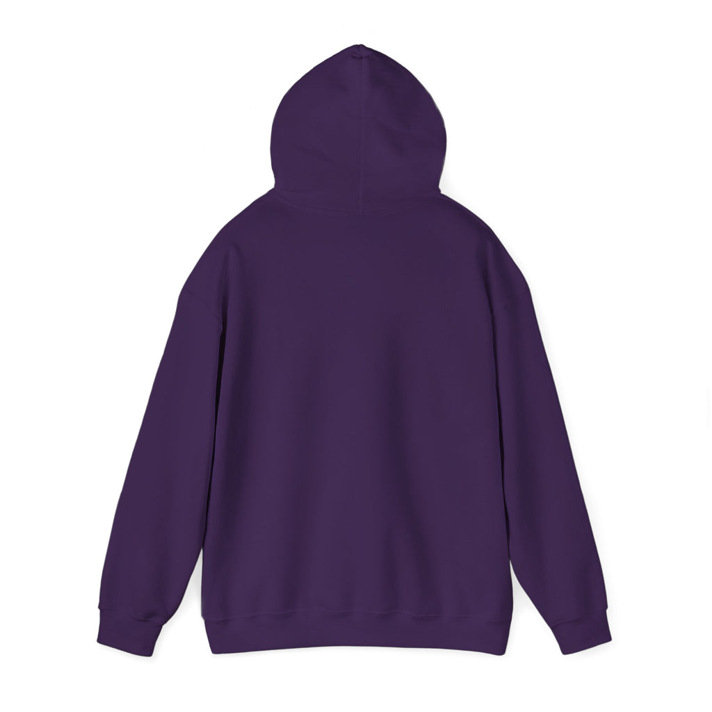 Main character energy - women's oversized hoodie|Aesthetic |Pinterest |coquette|soft girl |that girl