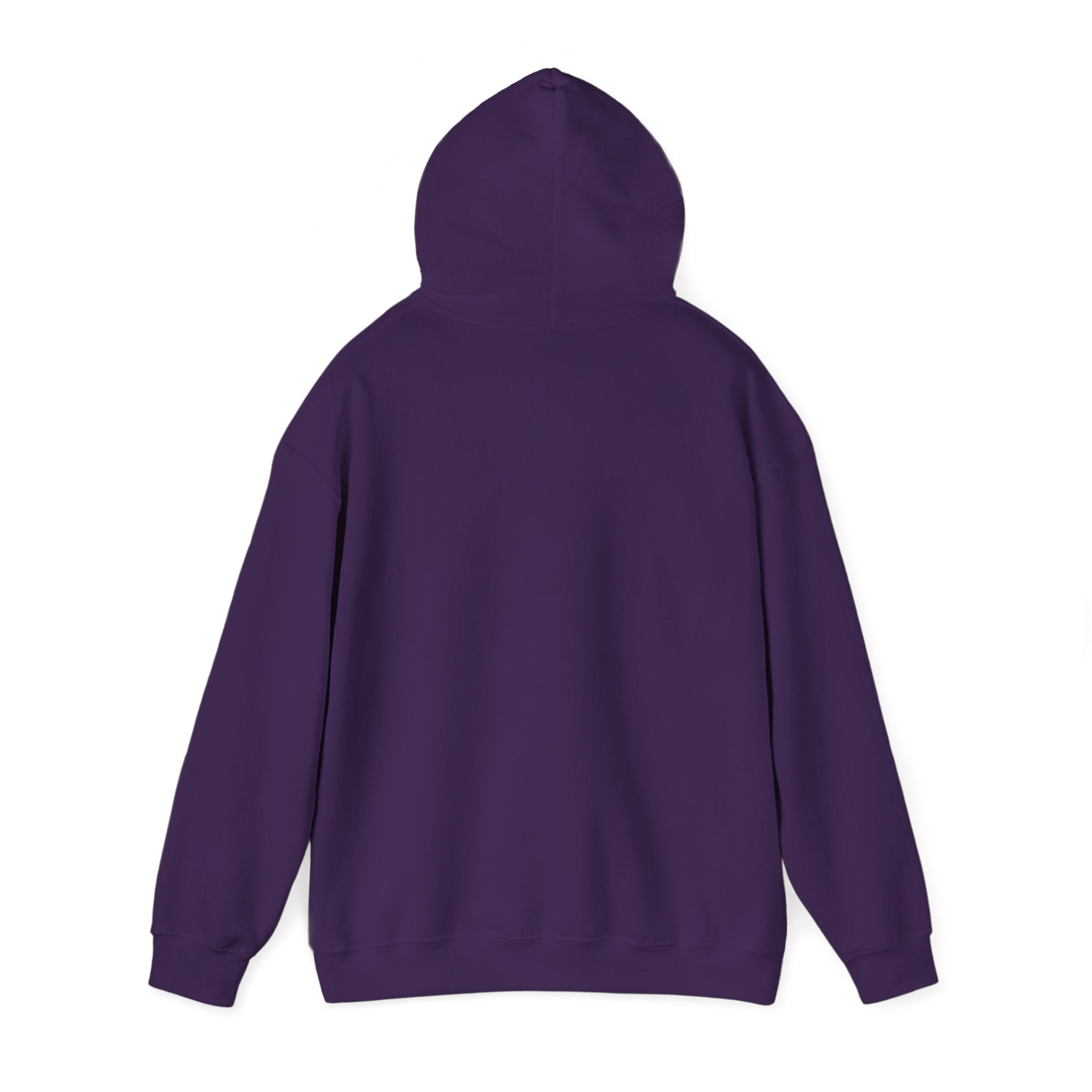 Main character energy - women's oversized hoodie|Aesthetic |Pinterest |coquette|soft girl |that girl