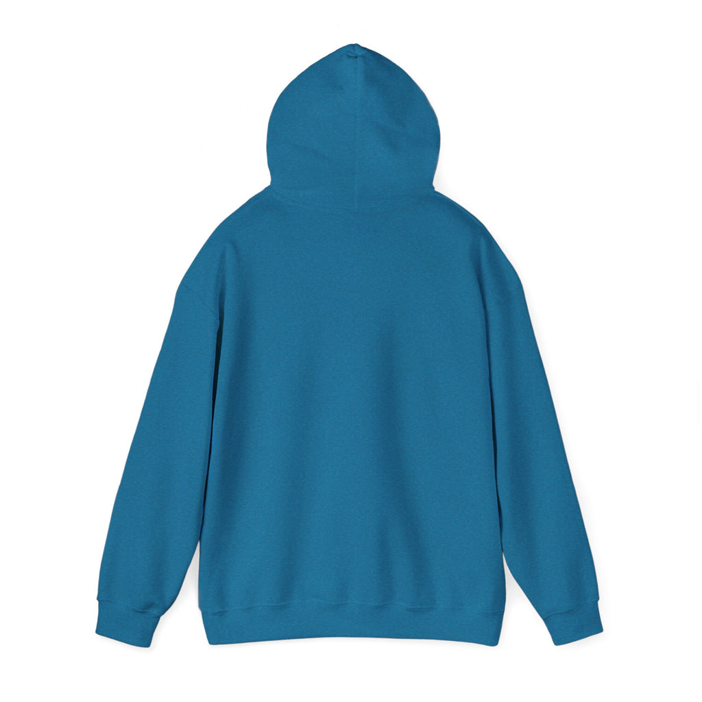 Main character energy - women's oversized hoodie|Aesthetic |Pinterest |coquette|soft girl |that girl