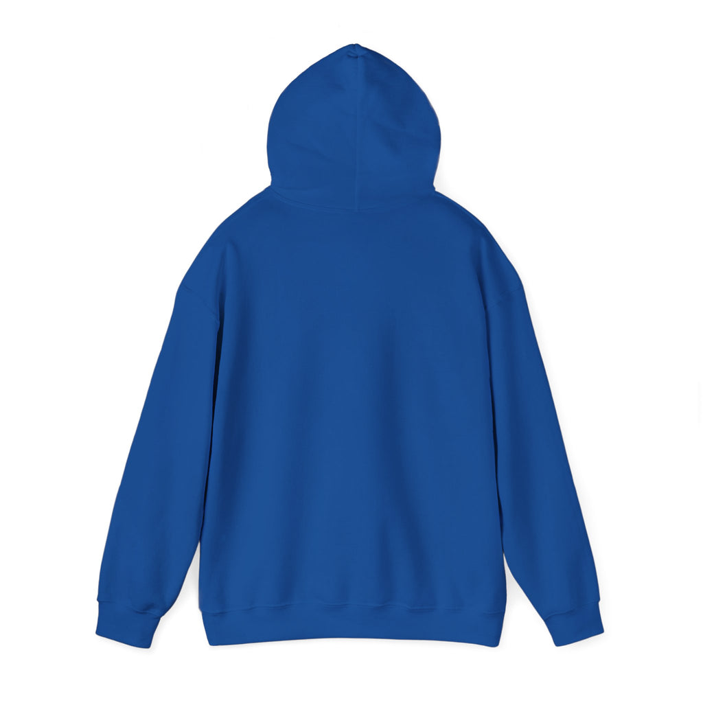Main character energy - women's oversized hoodie|Aesthetic |Pinterest |coquette|soft girl |that girl