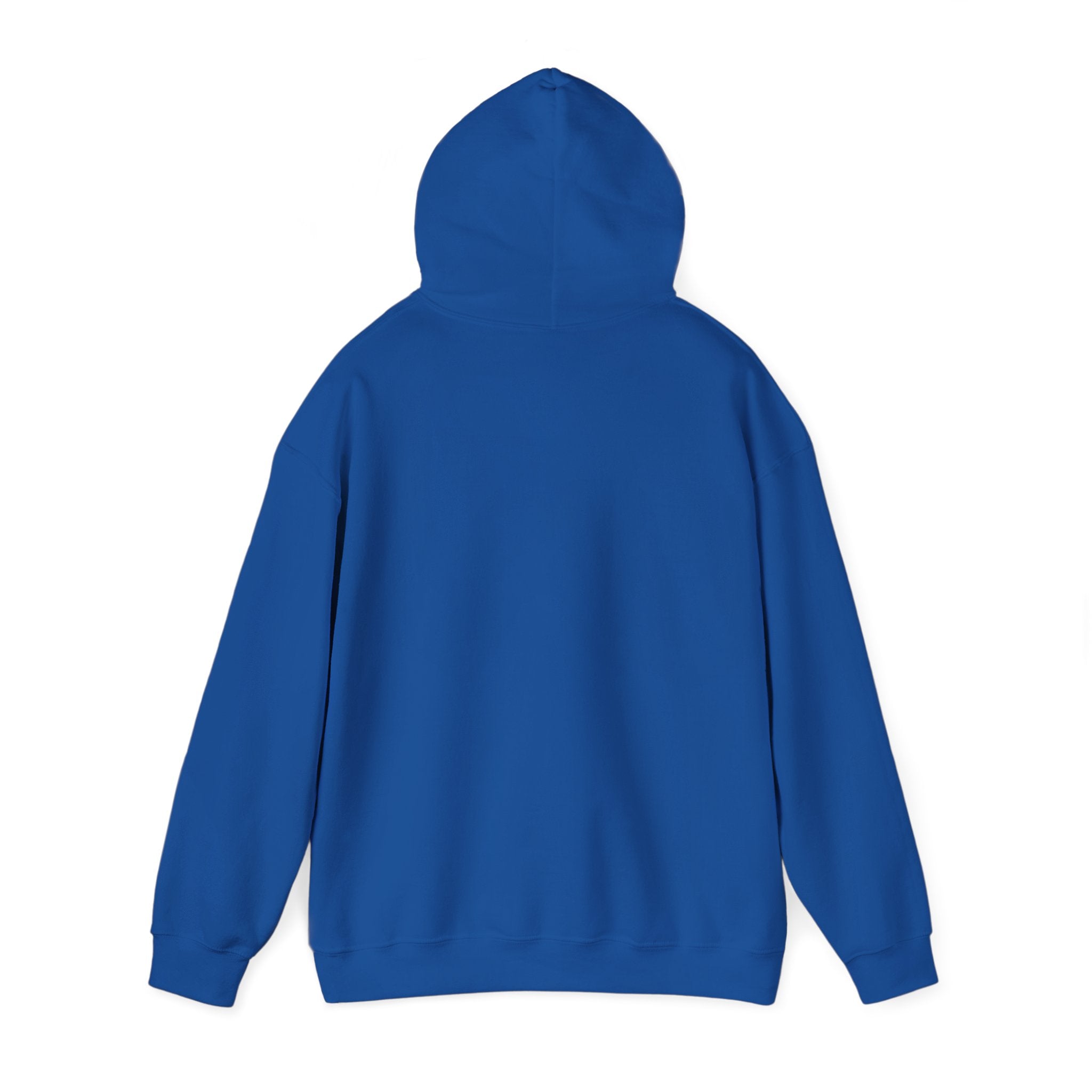 Main character energy - women's oversized hoodie|Aesthetic |Pinterest |coquette|soft girl |that girl