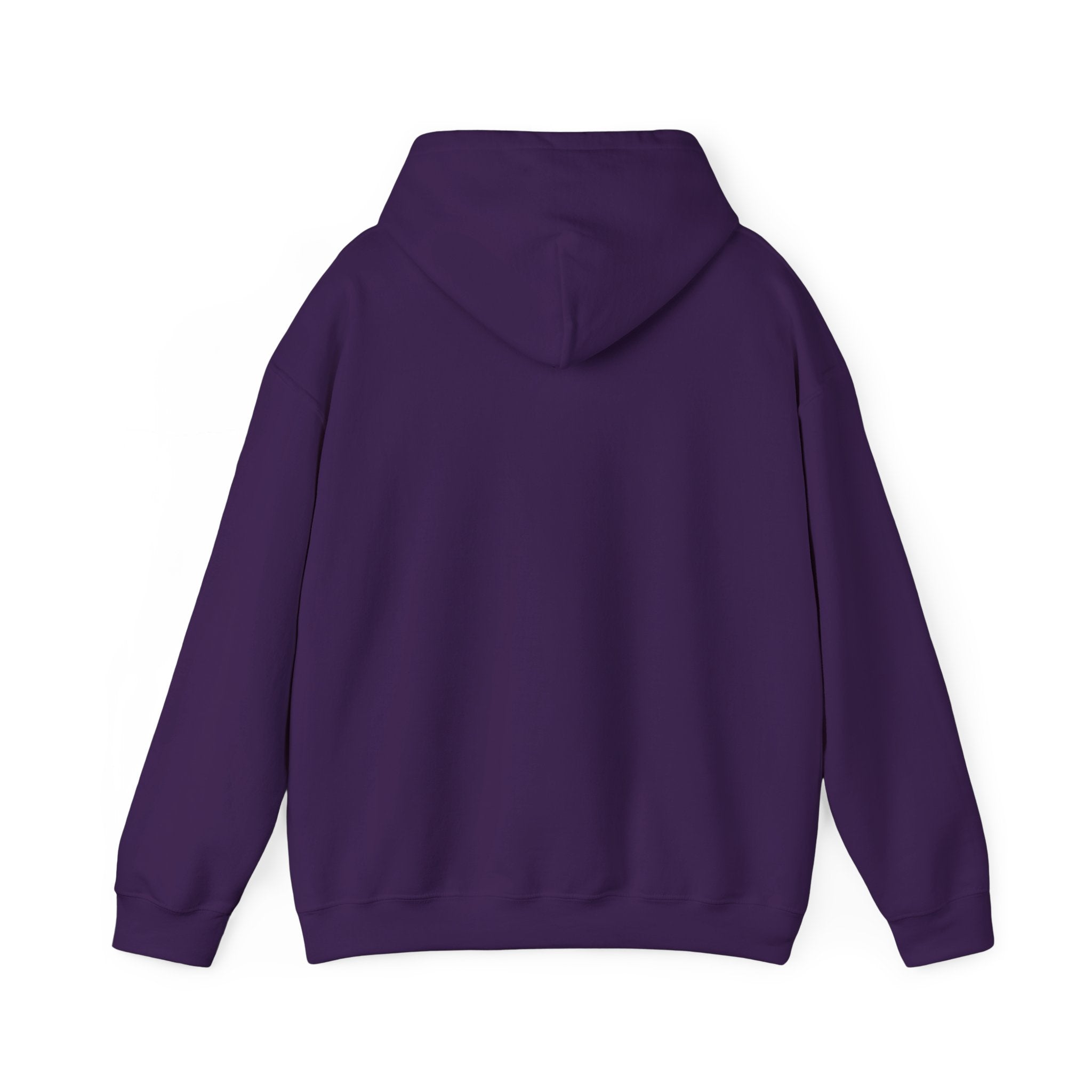Main character energy - women's oversized hoodie|Aesthetic |Pinterest |coquette|soft girl |that girl