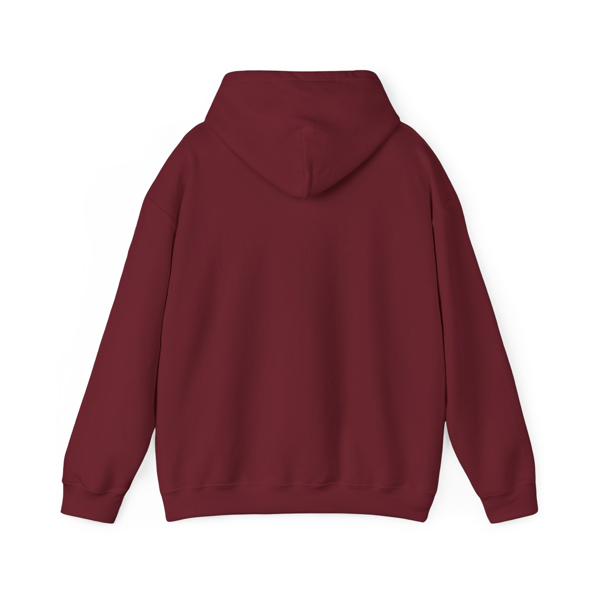 Main character energy - women's oversized hoodie|Aesthetic |Pinterest |coquette|soft girl |that girl