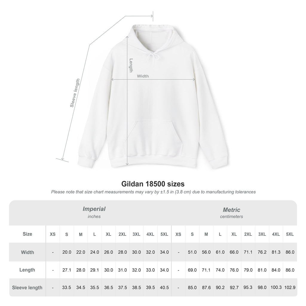 Main character energy - women's oversized hoodie|Aesthetic |Pinterest |coquette|soft girl |that girl