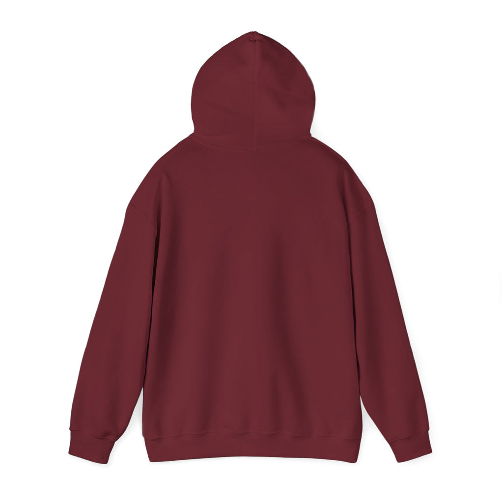 Main character energy - women's oversized hoodie|Aesthetic |Pinterest |coquette|soft girl |that girl