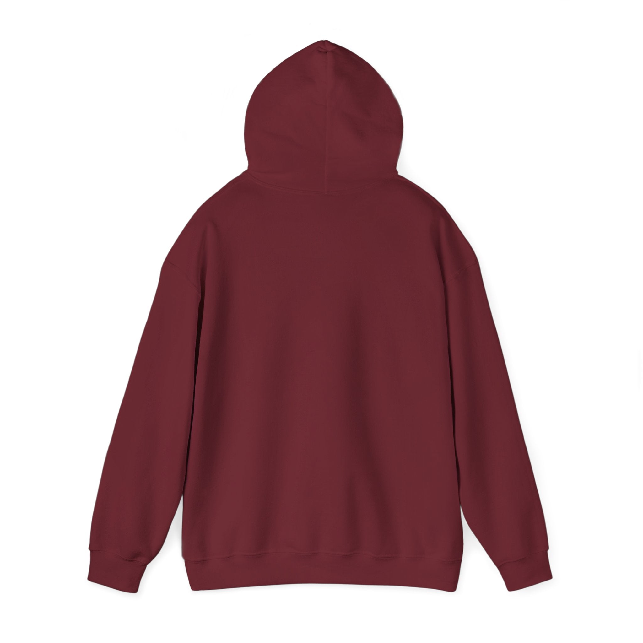 Main character energy - women's oversized hoodie|Aesthetic |Pinterest |coquette|soft girl |that girl