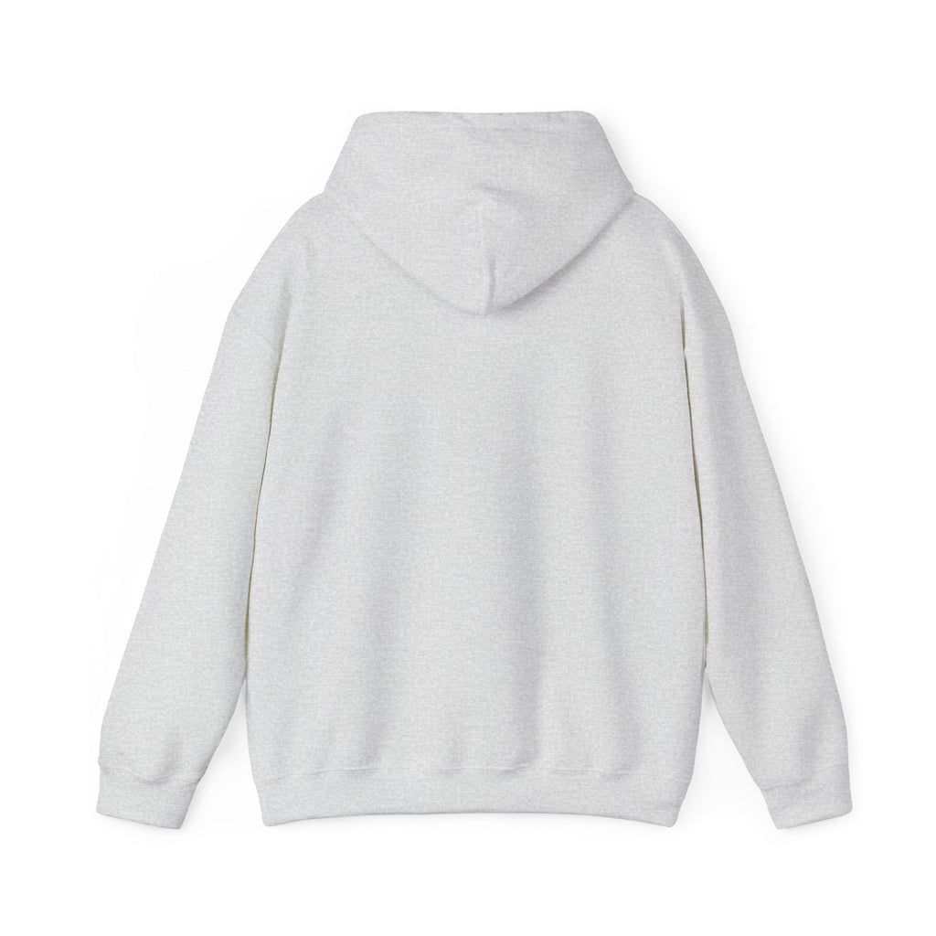 Main character energy - women's oversized hoodie|Aesthetic |Pinterest |coquette|soft girl |that girl