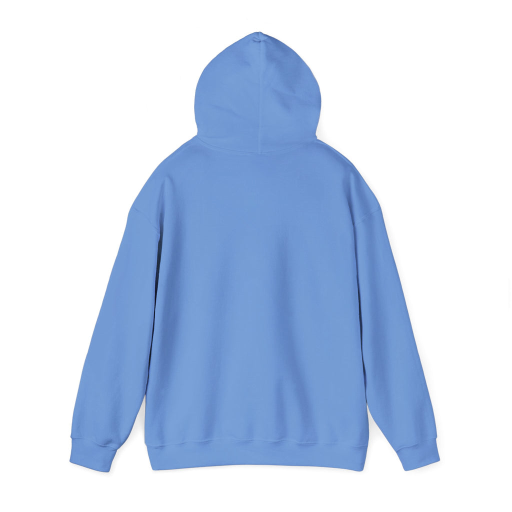 Main character energy - women's oversized hoodie|Aesthetic |Pinterest |coquette|soft girl |that girl