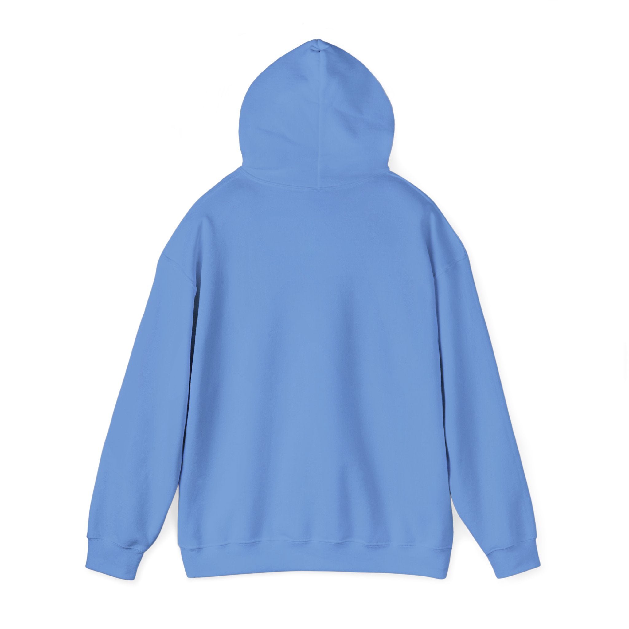 Main character energy - women's oversized hoodie|Aesthetic |Pinterest |coquette|soft girl |that girl