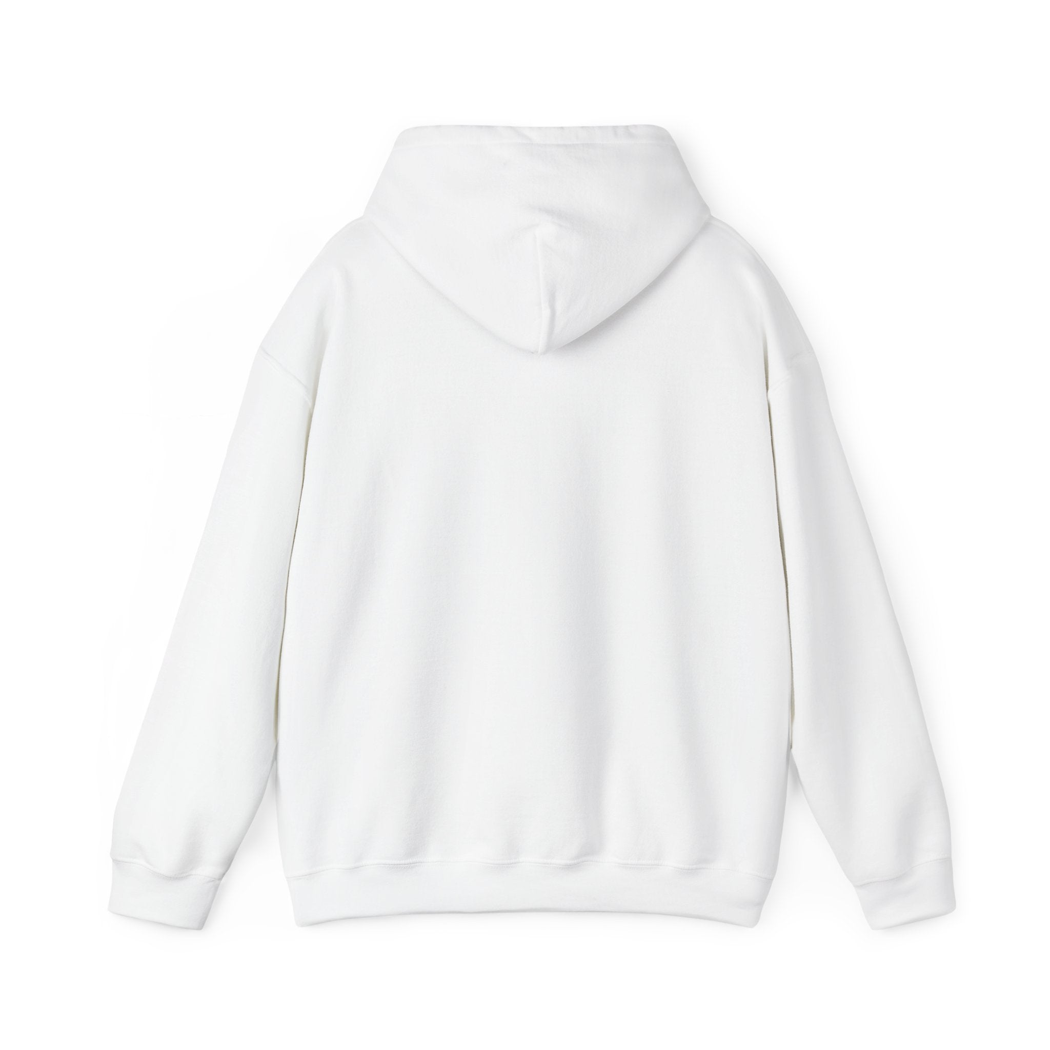 Main character energy - women's oversized hoodie|Aesthetic |Pinterest |coquette|soft girl |that girl
