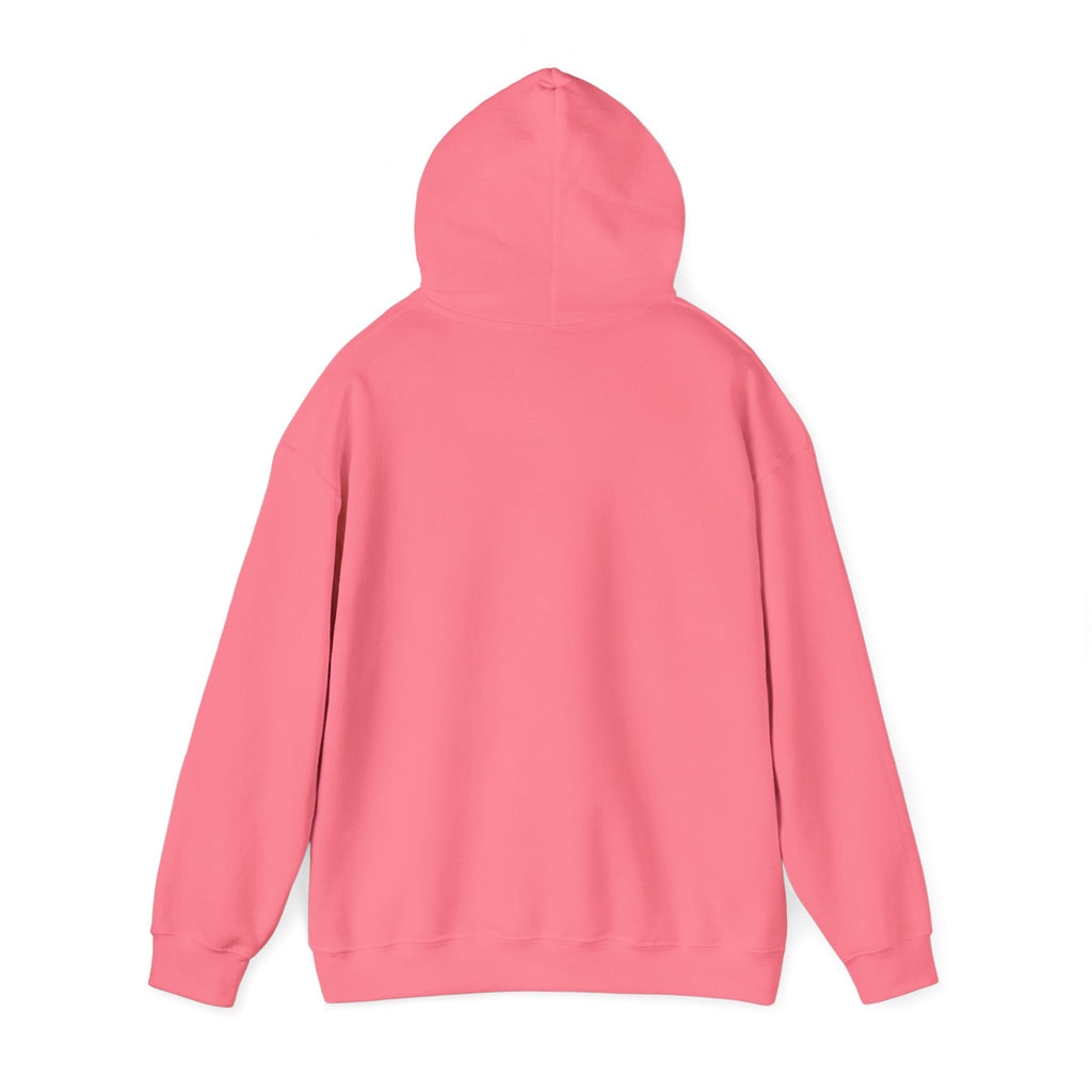Main character energy - women's oversized hoodie|Aesthetic |Pinterest |coquette|soft girl |that girl