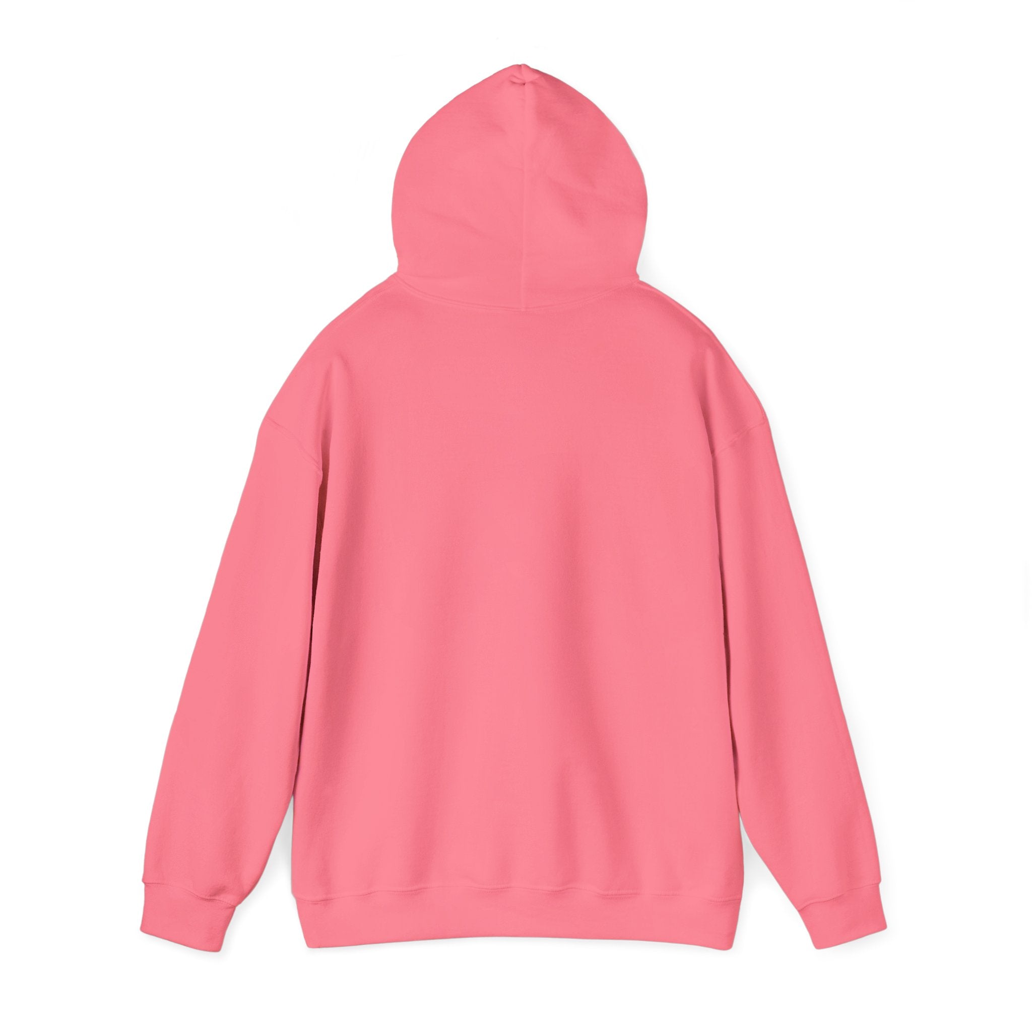 Main character energy - women's oversized hoodie|Aesthetic |Pinterest |coquette|soft girl |that girl