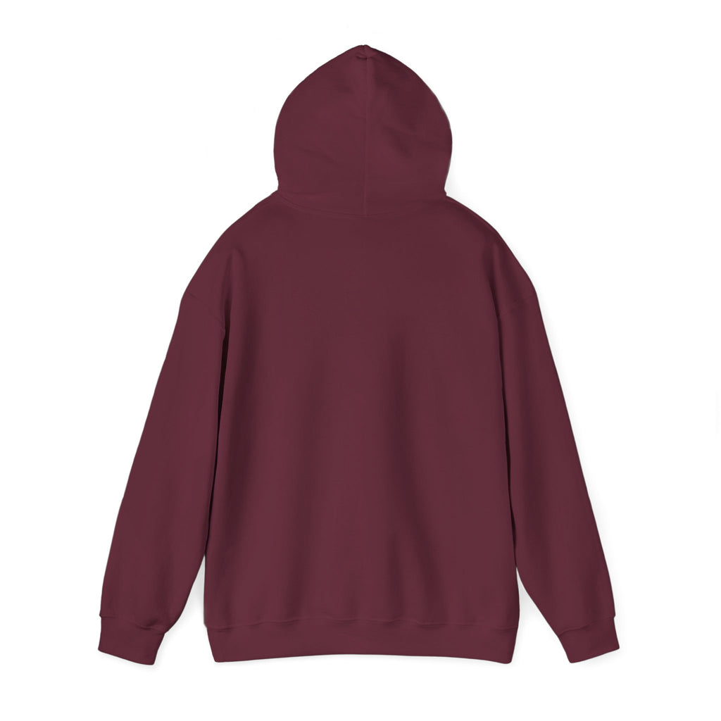 Main character energy - women's oversized hoodie|Aesthetic |Pinterest |coquette|soft girl |that girl
