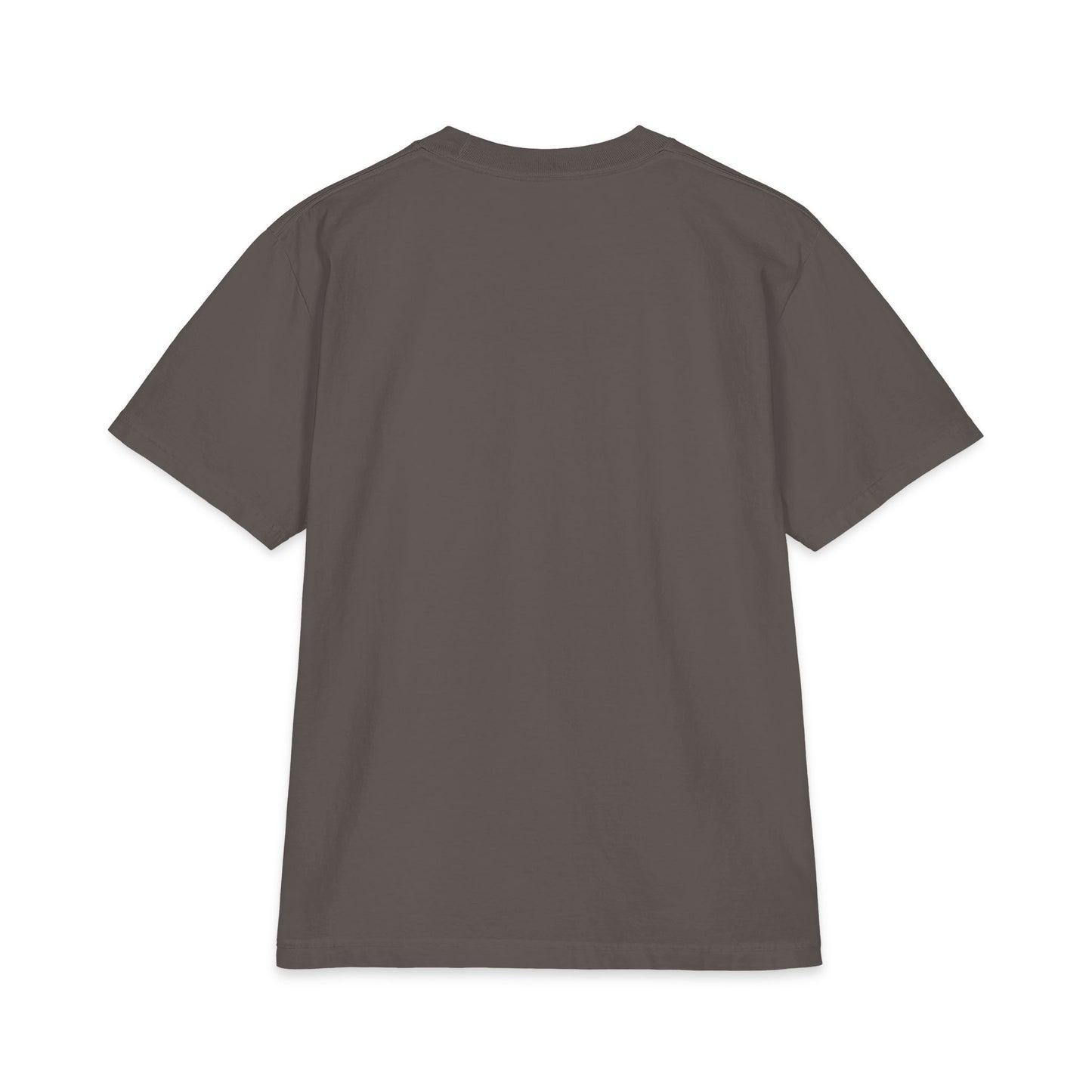 Best Women's Short Sleeve tshirt|SHE USA