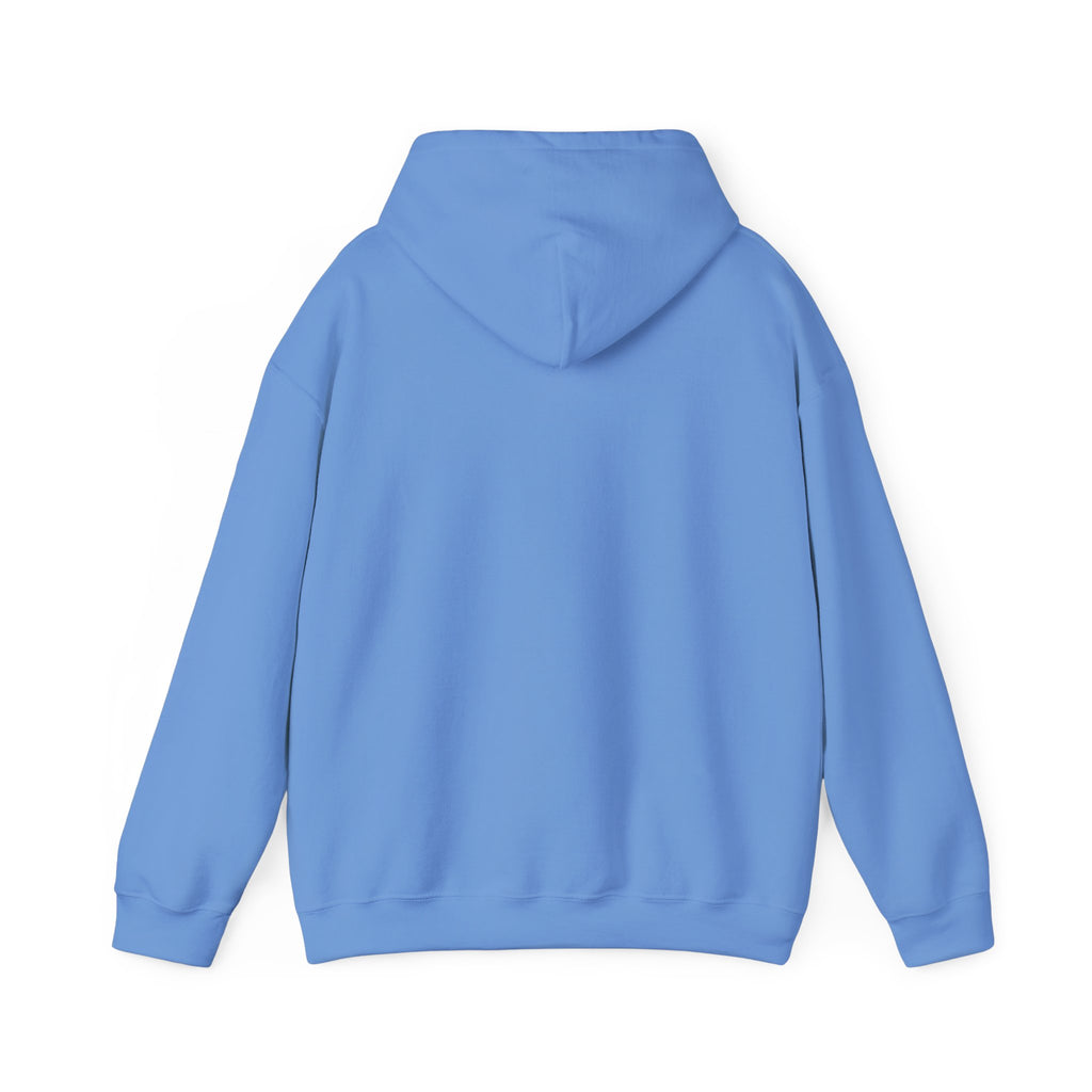 Main character energy - women's oversized hoodie|Aesthetic |Pinterest |coquette|soft girl |that girl