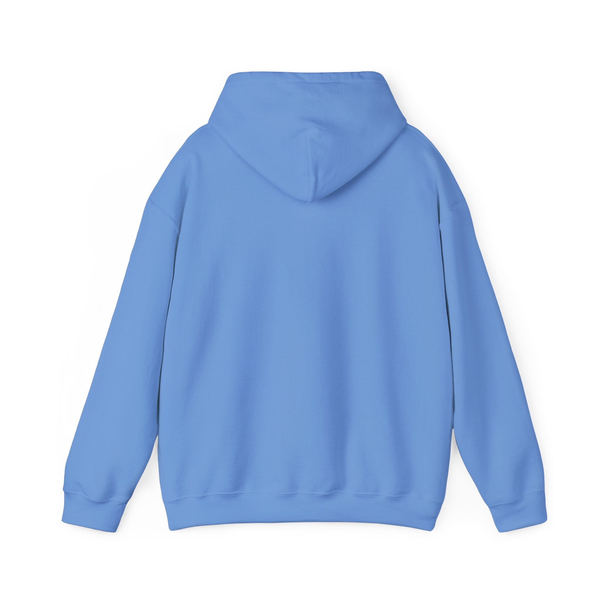 Main character energy - women's oversized hoodie|Aesthetic |Pinterest |coquette|soft girl |that girl