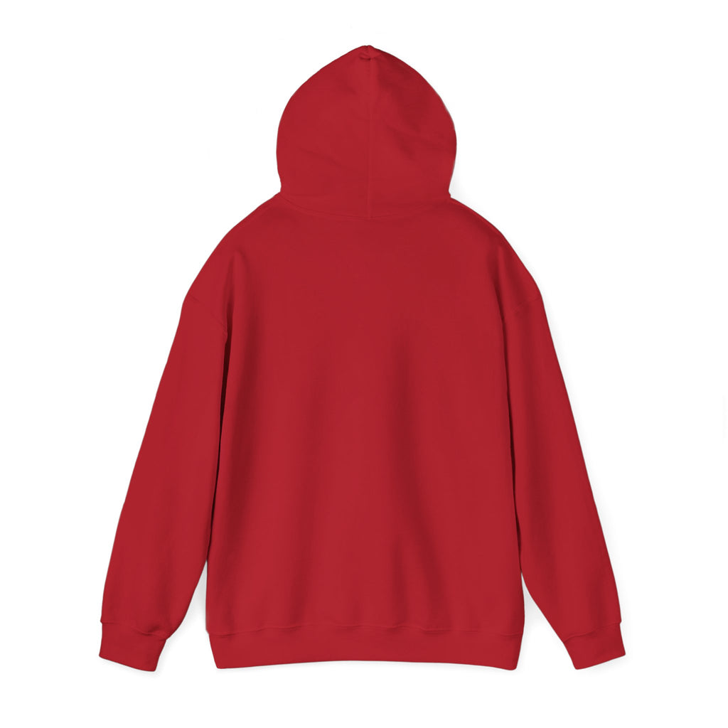 Main character energy - women's oversized hoodie|Aesthetic |Pinterest |coquette|soft girl |that girl