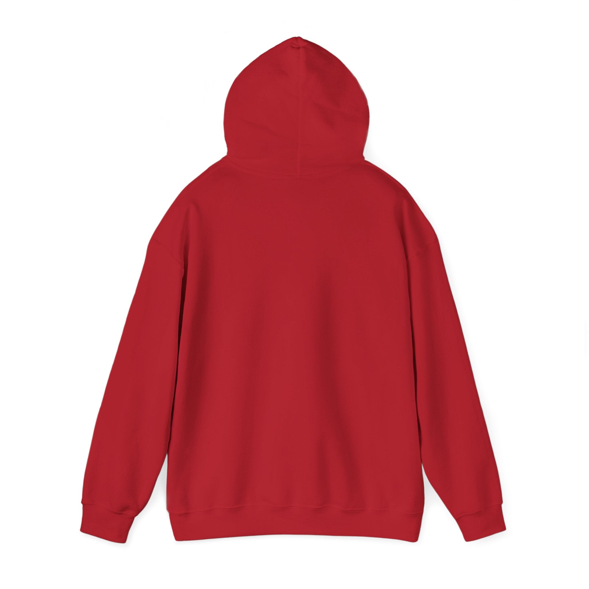 Main character energy - women's oversized hoodie|Aesthetic |Pinterest |coquette|soft girl |that girl